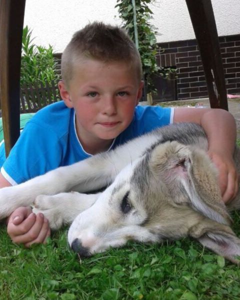 File:Matouš and his dog.jpg